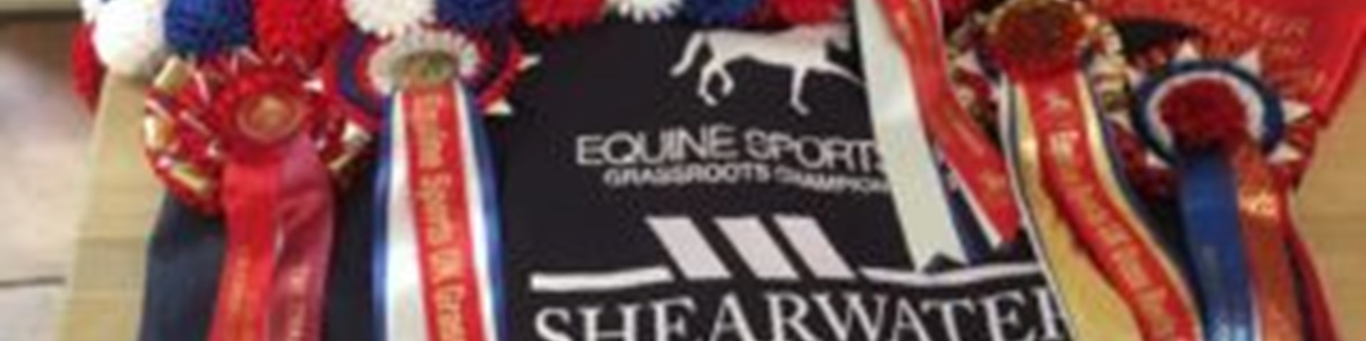 shearwater insurance sponsor equine sports uk